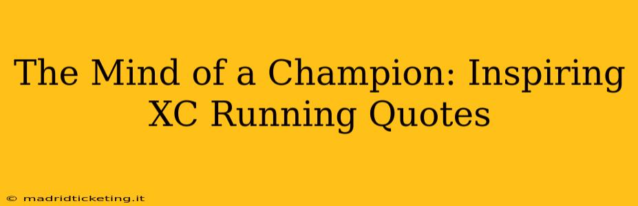 The Mind of a Champion: Inspiring XC Running Quotes