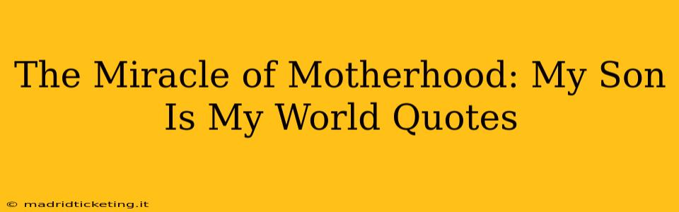 The Miracle of Motherhood: My Son Is My World Quotes