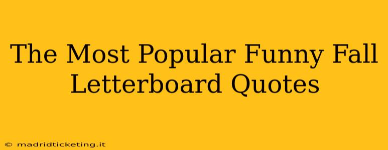The Most Popular Funny Fall Letterboard Quotes