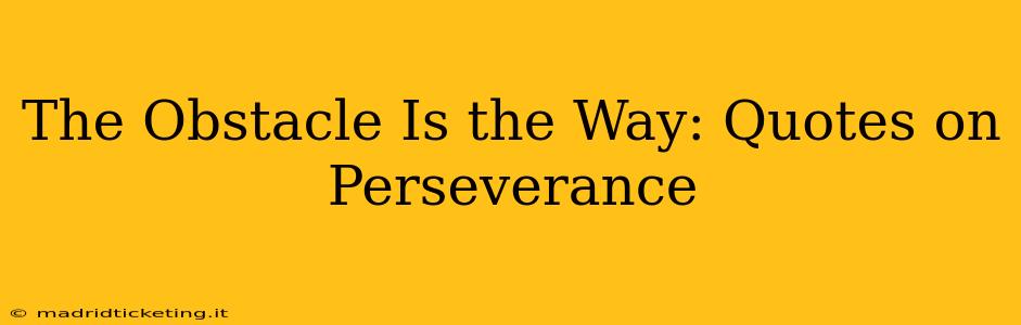 The Obstacle Is the Way: Quotes on Perseverance