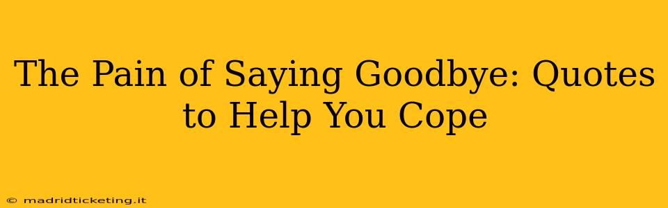 The Pain of Saying Goodbye: Quotes to Help You Cope