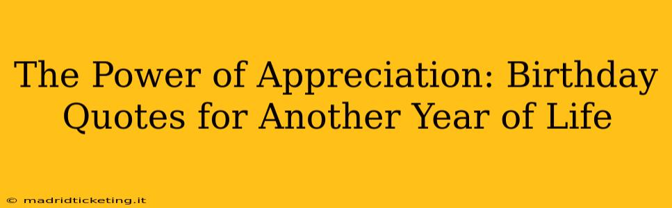 The Power of Appreciation: Birthday Quotes for Another Year of Life