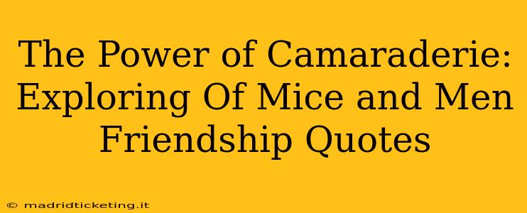 The Power of Camaraderie: Exploring Of Mice and Men Friendship Quotes