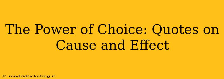The Power of Choice: Quotes on Cause and Effect