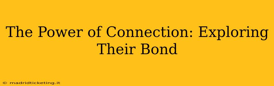 The Power of Connection: Exploring Their Bond