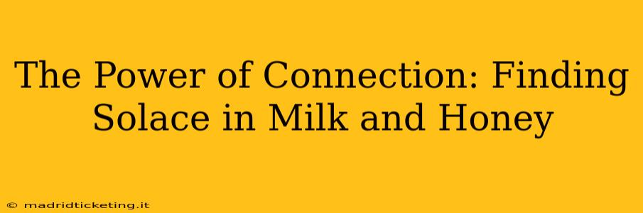 The Power of Connection: Finding Solace in Milk and Honey