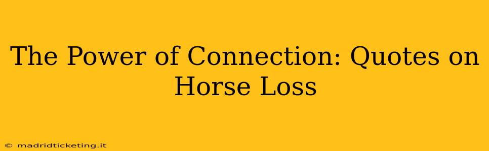 The Power of Connection: Quotes on Horse Loss