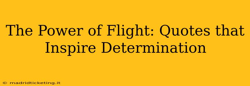 The Power of Flight: Quotes that Inspire Determination