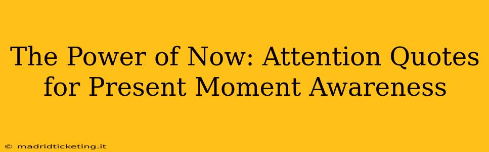 The Power of Now: Attention Quotes for Present Moment Awareness