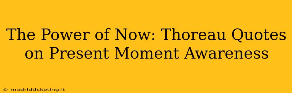 The Power of Now: Thoreau Quotes on Present Moment Awareness