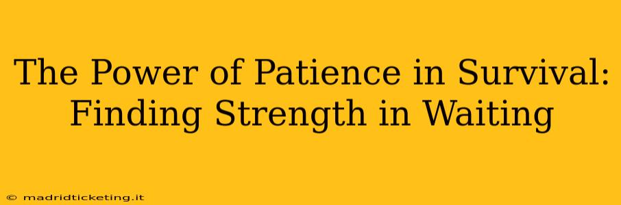 The Power of Patience in Survival: Finding Strength in Waiting