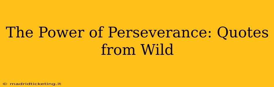 The Power of Perseverance: Quotes from Wild