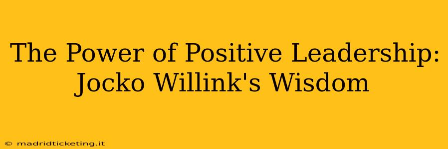 The Power of Positive Leadership: Jocko Willink's Wisdom