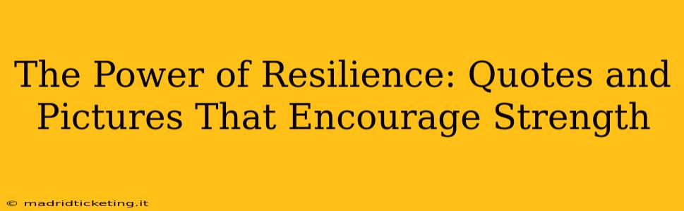 The Power of Resilience: Quotes and Pictures That Encourage Strength
