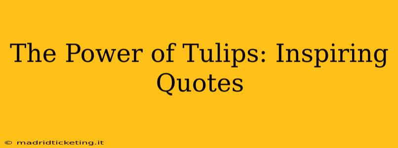 The Power of Tulips: Inspiring Quotes