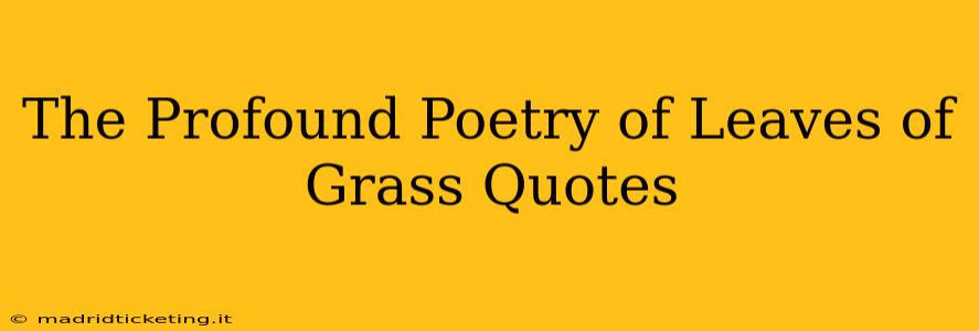 The Profound Poetry of Leaves of Grass Quotes