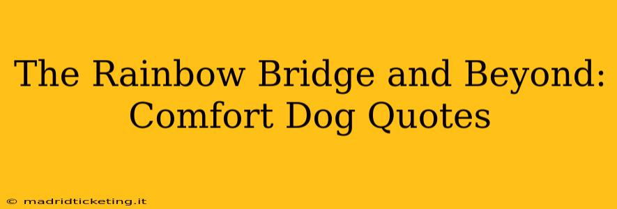 The Rainbow Bridge and Beyond: Comfort Dog Quotes