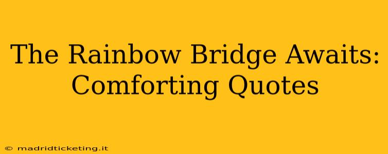 The Rainbow Bridge Awaits: Comforting Quotes