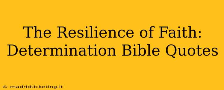 The Resilience of Faith: Determination Bible Quotes