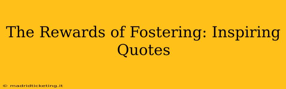 The Rewards of Fostering: Inspiring Quotes