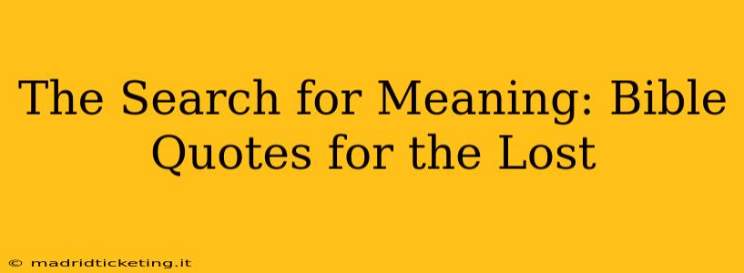 The Search for Meaning: Bible Quotes for the Lost