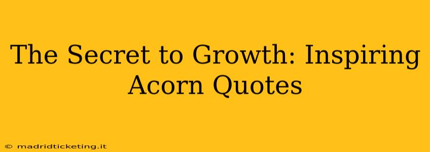 The Secret to Growth: Inspiring Acorn Quotes