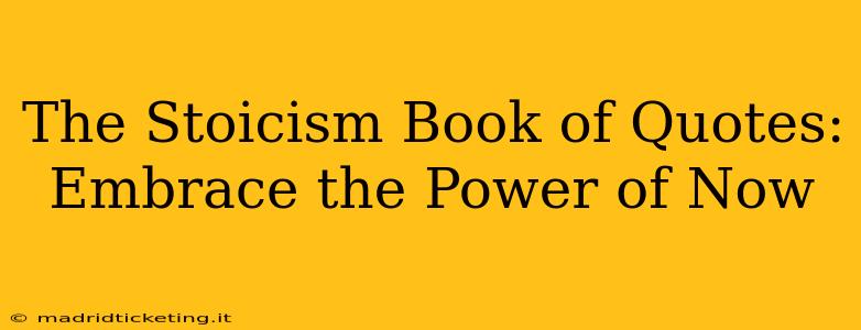 The Stoicism Book of Quotes:  Embrace the Power of Now