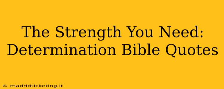 The Strength You Need: Determination Bible Quotes