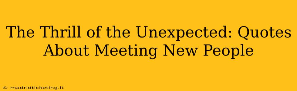 The Thrill of the Unexpected: Quotes About Meeting New People