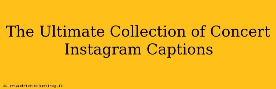 The Ultimate Collection of Concert Instagram Captions