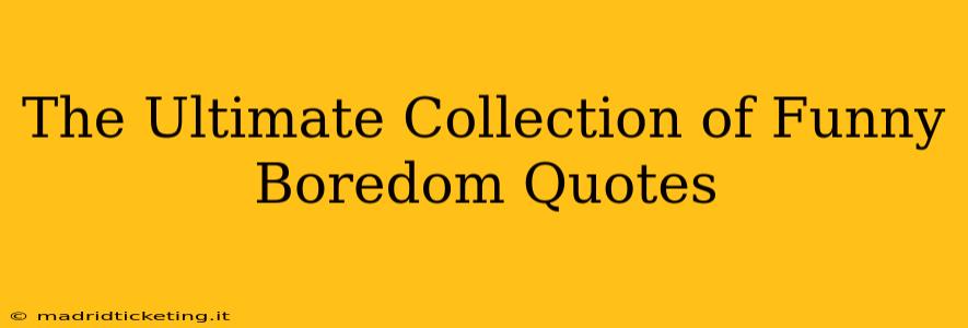 The Ultimate Collection of Funny Boredom Quotes