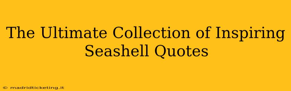 The Ultimate Collection of Inspiring Seashell Quotes