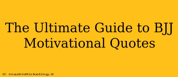 The Ultimate Guide to BJJ Motivational Quotes