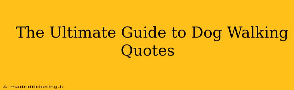 The Ultimate Guide to Dog Walking Quotes