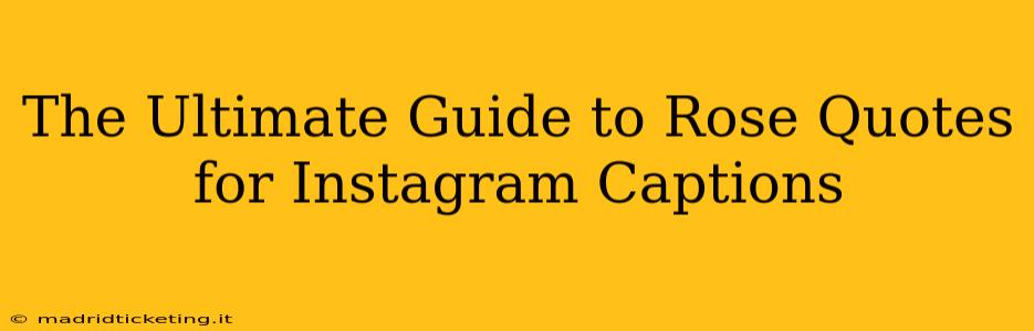 The Ultimate Guide to Rose Quotes for Instagram Captions
