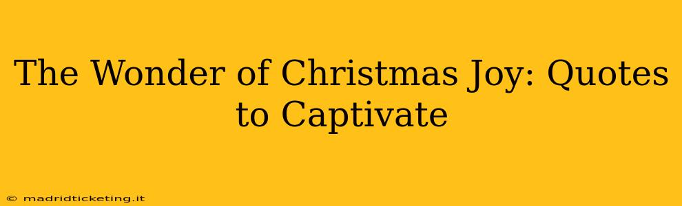 The Wonder of Christmas Joy: Quotes to Captivate
