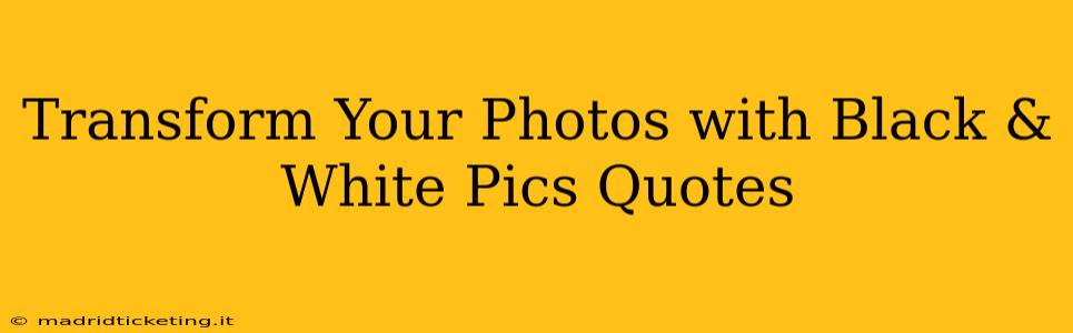 Transform Your Photos with Black & White Pics Quotes