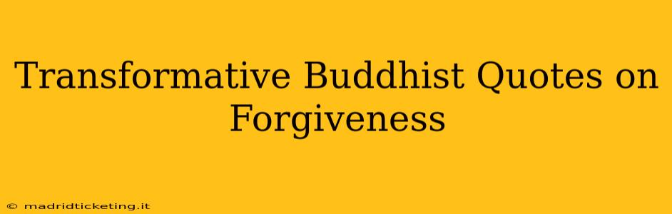 Transformative Buddhist Quotes on Forgiveness