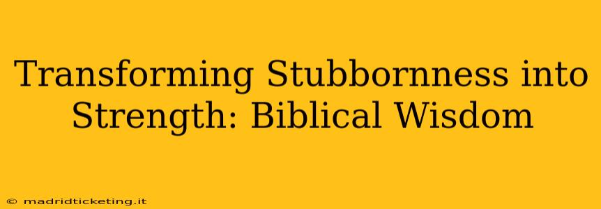 Transforming Stubbornness into Strength: Biblical Wisdom