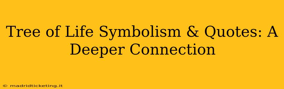 Tree of Life Symbolism & Quotes: A Deeper Connection