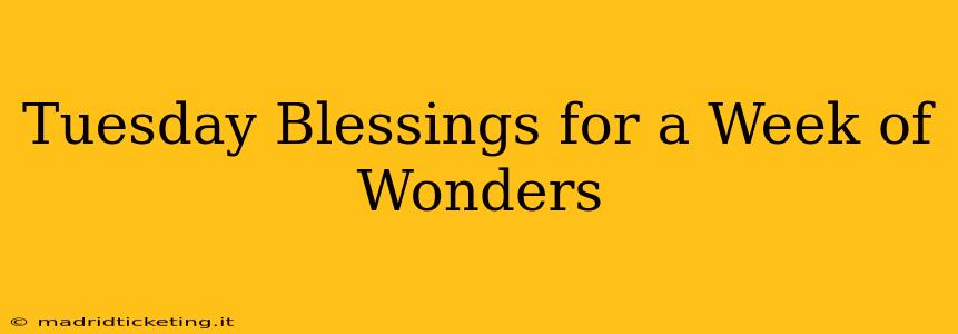 Tuesday Blessings for a Week of Wonders