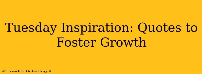 Tuesday Inspiration: Quotes to Foster Growth