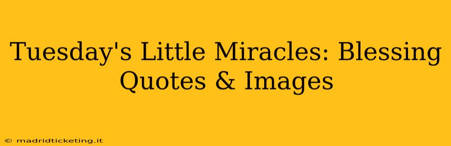Tuesday's Little Miracles: Blessing Quotes & Images