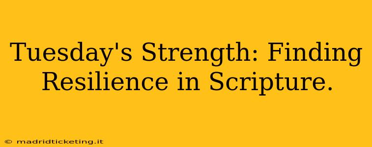 Tuesday's Strength: Finding Resilience in Scripture.