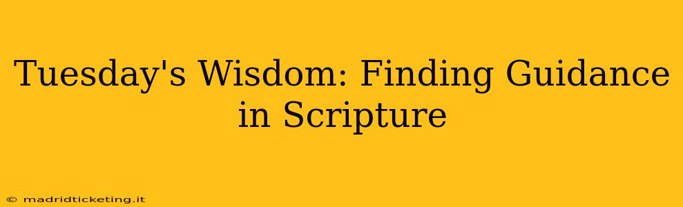 Tuesday's Wisdom: Finding Guidance in Scripture