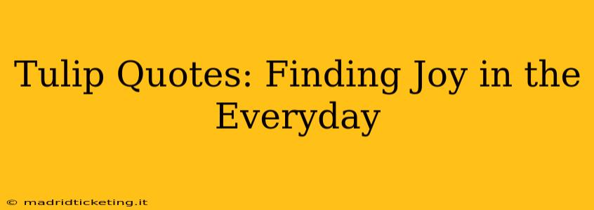 Tulip Quotes: Finding Joy in the Everyday