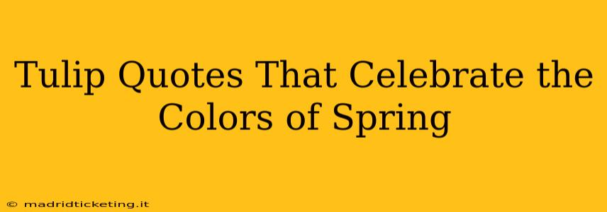 Tulip Quotes That Celebrate the Colors of Spring