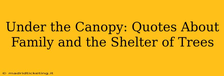 Under the Canopy: Quotes About Family and the Shelter of Trees