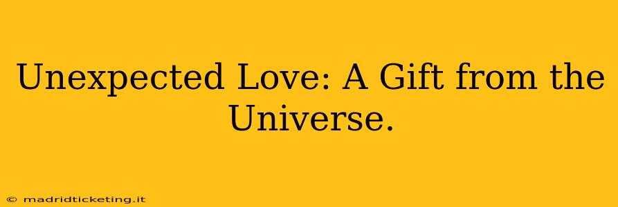 Unexpected Love: A Gift from the Universe.