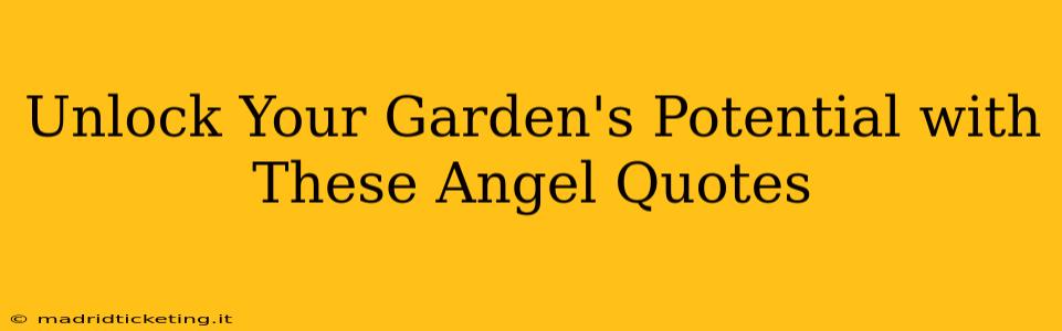 Unlock Your Garden's Potential with These Angel Quotes